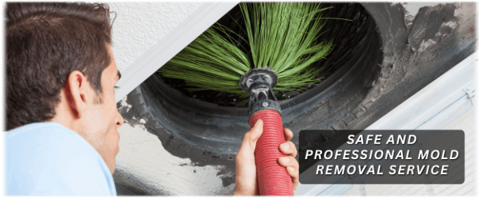Air Duct Mold Removal in Washington DC