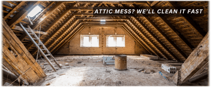 Attic Cleaning Washington DC