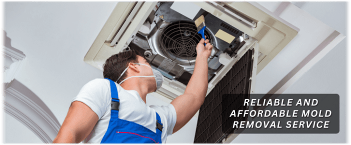 HVAC Mold Removal Washington DC